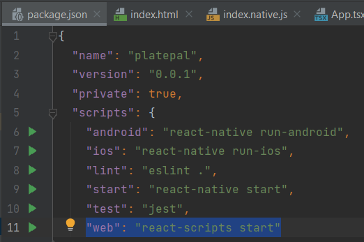 Screenshot of the package.json