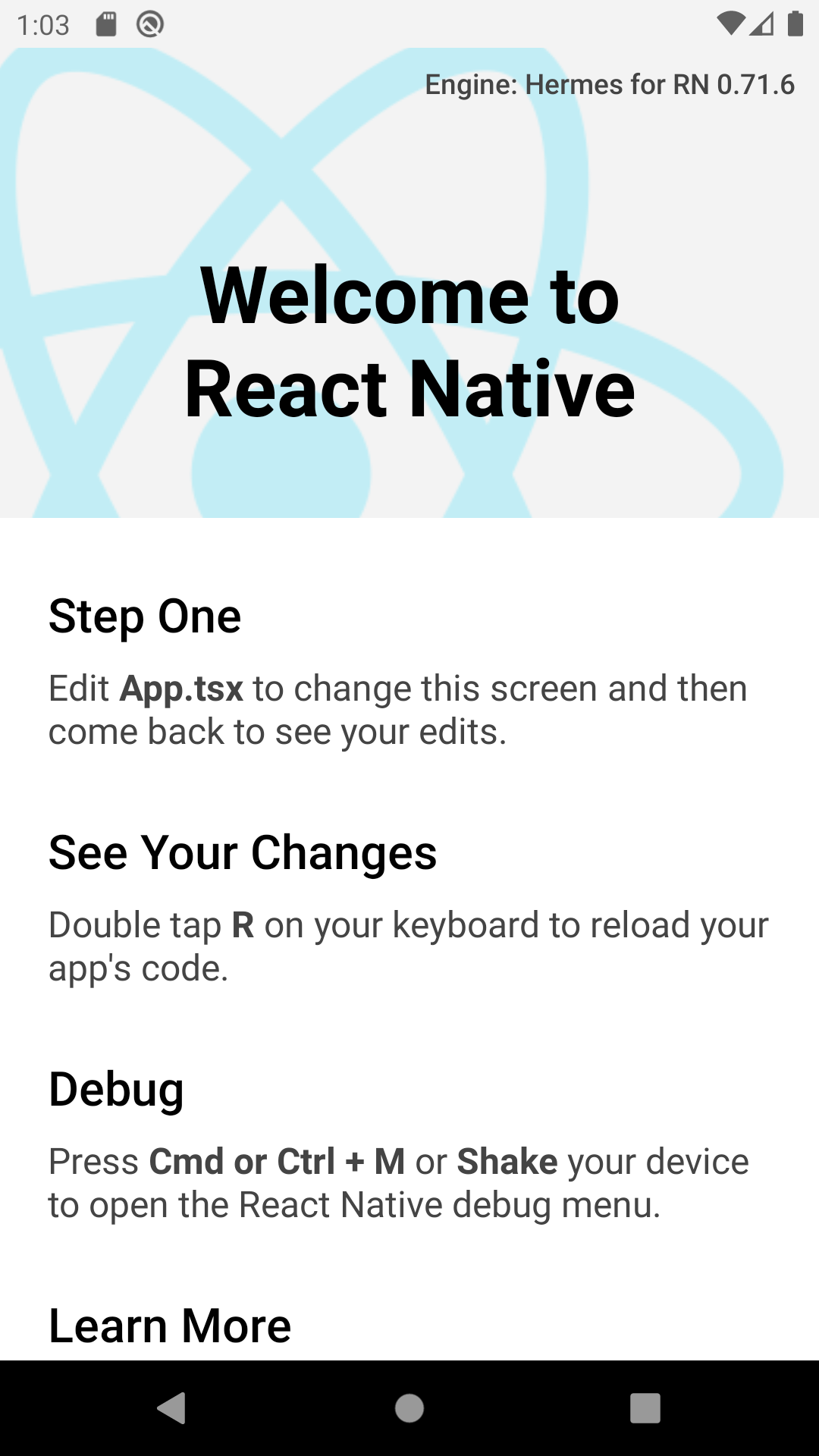 Initial React Native view